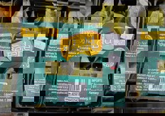 Alchechengi colombiano, importato dalla Germania.