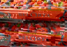 Ancora fragole belghe.