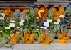 Mini ananas da Mauritius.