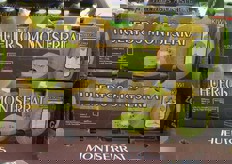 Cassette di kiwi cileni.