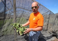 Per via delle condizioni climatiche di questo periodo, la radicazione si e' dimostrata particolarmente veloce.