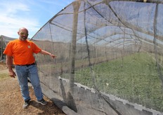 Nei primi giorni sotto il telo ombreggiante, la pianta va in stress, il quale la aiuta nel far partire la radicazione.