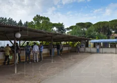 Si e' svolta come ogni anno la tradizionale Mostra Pomologica presso il CREA-FRU, Centro di Ricerca per la Frutticoltura di Roma.