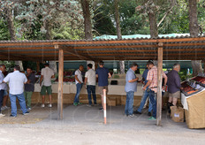 L'esposizione e' stata suddivisa in due aree: una per le selezioni su cui la ricerca sta lavorando...