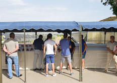 ... l'altra per le proposte di alcuni Vivai.