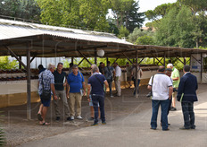 Arrivederci alle prossime edizioni!