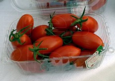 Il Tomperino e' un perino, talvolta erroneamente considerato un mini San Marzano. Il pomodoro pesa 40/50 grammi, ma presenta un'elevata produttivita', giungendo a 40/50 chili di prodotto al metro quadro. Sopporta bene le basse temperature, in serra fredda.