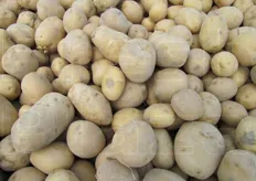 Le patate maremmane sono caratterizzate da buccia e pasta gialla.