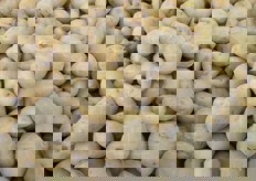 Le patate maremmane sono caratterizzate da buccia e pasta gialla.