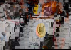 "Gonnelli e i fratelli Giani con gli organizzatori della Sagra della Patata di Roccastrada. Gemellaggio riuscito alla grande, con un esordio "al botto"."