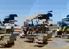 Nello stesso campo, il 30 luglio, si e' svolto un test di raccolta con una scava-raccogli patate. Bello da vedersi e sottolineare: nonostante ognuno abbia il suo ruolo all'interno della cooperativa, sono tutti in campo a fare gruppo e a constatare la situazione.