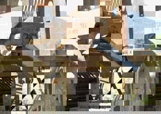 andranno a finire nei cassoni di raccolta.