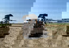 Al passaggio della macchina si valuta anche la sua capacita' di selezione dei tuberi, con eventuale messa a punta. Prossimo appuntamento con Coop Semia e Maremma che…Ⓡ patata: dal 5 al 15 agosto al festAmbiente di Rispescia (GR).