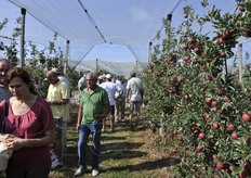 L'impianto visitato fa parte dell'azienda di Gaetano Piva. Il meleto è protetto da reti antigrandine