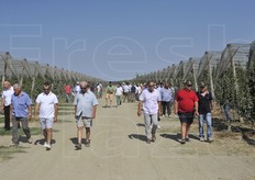 La nuova mela ha destato particolare interesse