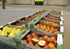 Dopo la visita al secondo meleto, in sede Zanzi i visitatori hanno potuto visitare una piccola mostra pomologica