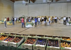 L'ospitalità emiliano romagnola/ferrarese dei F.lli Zanzi è stata perfetta: dalla colazione di primo mattino fino al pranzo/buffet del termine visita