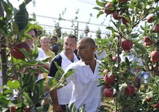 Enrico Zanzi ha sottolineato alcuni aspetti della mela: ottimo sapore, elevato Brix, calibro notevole, precocità