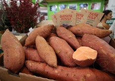 Patate dolci dell'Agrilatina, ovviamente bio.