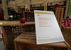 Cassette effetto legno della Polymer Logistics.