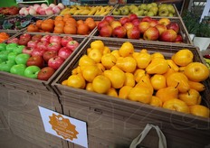 Cassette effetto legno della Polymer Logistics.