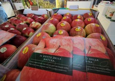 Mele Evelina, nello stand Sud Tirol.