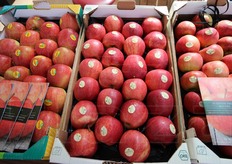 Mele bio dal Sud Tirolo.