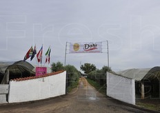 L'ingresso dei Vivai Dal Pane a Cisterna di Latina.
