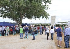 Al termine delle visite guidate.