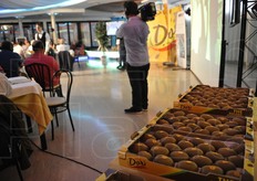 In primo piano il kiwi Dori'