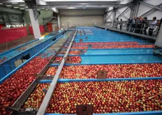 L'impianto ha una capacita' di lavorazione delle mele di 20 ton all'ora.