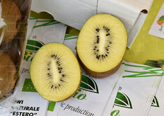 Kiwi giallo Soreli coltivato in regime biologico presso la Agricolli Bio.
