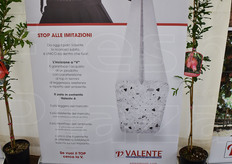 Stop alle imitazioni!