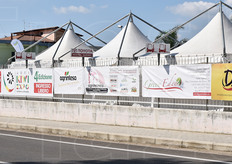 L'esterno dell'area espositiva allestita ogni anno presso il Gruppo Tassinari, a Cisterna.