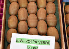 Questo invece è il kiwi Meris.