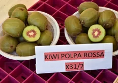 La ricerca procede e presto vedremo sulle nostre tavole anche i deliziosi ed esotici kiwi a polpa rossa.