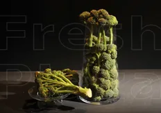 Broccoli Multifloret di Syngenta: prodotto a ciclo breve che lo rende facile da raccogliere e prepararlo.