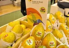 Frutta tropicale brasiliana.