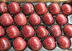 La R201 presenta una buccia di colore rosso intenso con lenticelle evidenti. La polpa e' di colore rosso acceso e il gusto pieno con note di frutti di bosco. Il periodo di raccolta e' simile a quello della Braeburn.