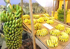 Scenografica la presenza di banane in casco e banane mature.