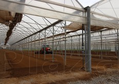 Altro momento di preparazione del letto di semina.