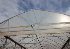 Ogni campata delle serre e' numerata, per garantire la tracciabilita' e permettere di risalire, dalla busta, al lotto di produzione.