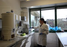 Dal campo, la materia prima arriva nello stabilimento di lavorazione di San Paolo d'Argon (BG) in circa un'ora. Qui vengono effettuati anche tutta una serie di test di laboratorio (in foto) per controllare i residui, eventuali contaminazioni microbiologiche o presenza di metalli pesanti. Qui pure si analizza anche l'acqua usata nella struttura di lavorazione.