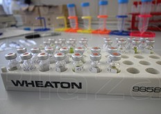 Il laboratorio di San Paolo d'Argon (BG) e' accreditato dal Ministero della Salute. Qui si analizzano anche 2mila campioni di materia prima all'anno, come pure campioni di buste e campioni di prodotto fresco provenienti dagli stabilimenti del gruppo Bonduelle in Francia e Germania.