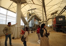 La Vallere usa un impianto di cogenerazione a cippato per riscaldare le serre d'inverno e abbassare i tempi di crescita delle baby leaf che, col freddo, tendono ad allungarsi.