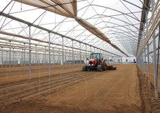 Fase di preparazione del terreno prima della semina. Una delle particolarita' della Vallere e' che la maggior parte dei trattori impiegati in serra sono Euro 4 e uno speciale filtro antiparticolato permette di evitare l'immissione di gas di scarico sotto le coperture. Nel dettaglio, i fumi vengono raccolti in un filtro che viene svuotato automaticamente dal trattore quando pieno.