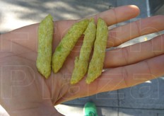 "I piselli "snack". Onestamente, non siamo riusciti a capire bene quanto pisello ci fosse dentro."