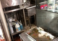 Non che l'igiene e l'ordine regnino sempre sovrani... in Italia al confronto il livello e' molto migliore. La foto e' stata scattata da un normale tavolo di un self service.