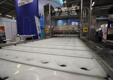 Particolare del nastro trasportatore di una delle depicciolatrici prodotte dalla O.M.I.P.