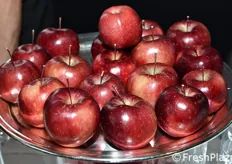 Eccole, cosi' si presentano esternamente le nuove mele a polpa rossa della cultivar R201.